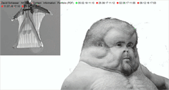 Desktop Screenshot of davidschiesser.com