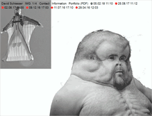 Tablet Screenshot of davidschiesser.com